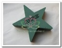 Oasis® Bioline ster oase voor verse bloemen 25 x 25 x 4,5 cm