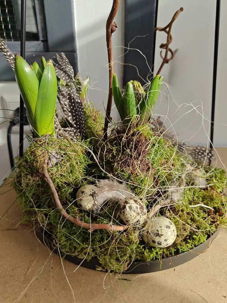 doenblad bunny bolletjes.webp