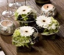 Oasis® Ideal oase voor verse bloemen 23 x12x8 cm Per blok