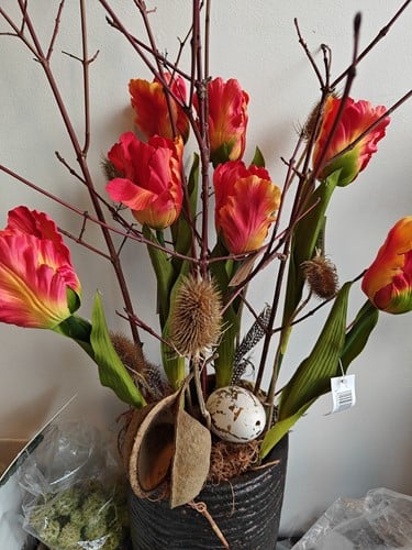 Takken naturel bv Cornus ca. 3st 