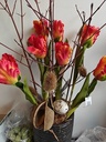 Takken naturel bv Cornus ca. 3st 
