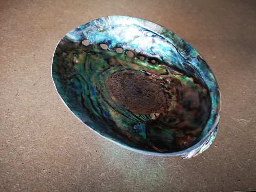 Abalone GEPOLIJST ca. 13 cm mooie parelmoerschelp per stuk