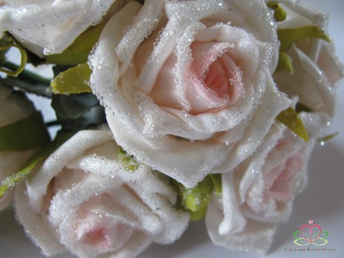 foam roos Elegant cremeroze besuikerd / bundel 