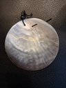 Gepolijst Nautilus met gaatje voor hanger of sieraad/ketting Uniek stuk Schelp