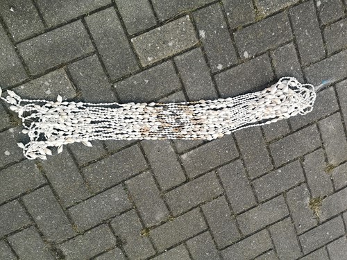 Schelpengordijn Schelpenhanger Gordon Gandon geboorde schelpen wit/bruin 
