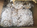 Schelpengordijn Schelpenhanger Gordon Gandon geboorde schelpen wit/bruin 