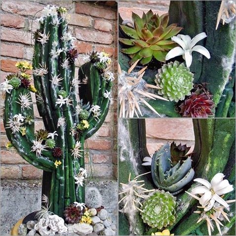 Oasis® BLACK BIOLINE® CACTUS Grote zwarte cactus 38 x 74 x 11 cm