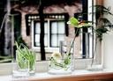 Onbreekbare Vaas 15x40cm Unbreakable Glass