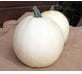 Baby Moon F1 PMT 250 Witte kleine pompoenen zaden ca. 2-3 kg