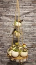 Bell cup 12st bell cup Full Roze Natuurlijk bloemschikmateriaal