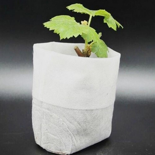 Biologischafbreekbare opkweekzakjes 8*10cm Pak100 Biologisch afbreekbaar