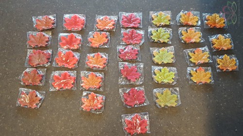Blad Zijden Herfstblad Oranjeroodrand C 