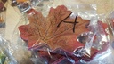 Blad Zijden Herfstblad Roestbruin A 