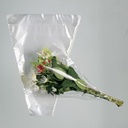 Bloemenhoezen 40x20x10cm X 50pcs 