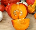 BOL-P-5106 F1 organic Biologische pompoenzaden Kabocha 1000 Buttercup vergelijkbaar aan Sunshine