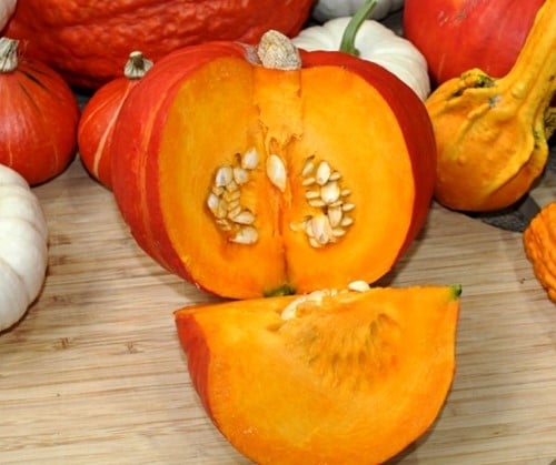 BOL-P-5106 F1 organic Biologische pompoenzaden Kabocha kleinverpakking Buttercup vergelijkbaar aan Sunshine