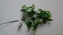 Palm Pick corsagevuller Groen -wit bundel 6 stuks 