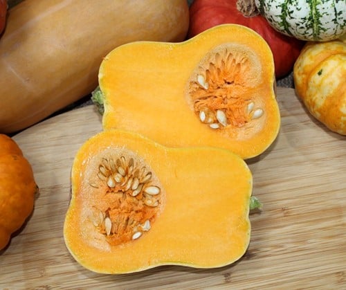 Butternut Butterbaby F1 PMT 250 Aanrader eenpersoonsflespompoenzaden