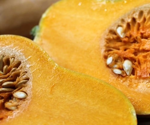 Butternut Butterbaby F1 PMT 250 Aanrader eenpersoonsflespompoenzaden