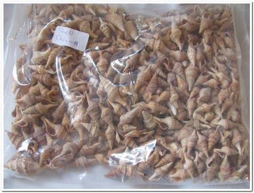 Chinna schelpen 750 gram