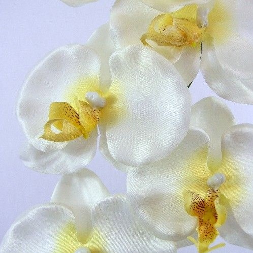 PANDA ORCHIDEE SPRAY CREAM 