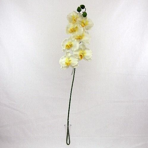PANDA ORCHIDEE SPRAY CREAM 
