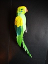 Papegaai op clip ca. 25 cm  Groen/ per stuk 