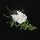 Corsage Romance Bridal Puur Wit 