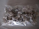 Patella Sacharina schelpen 1 kilo