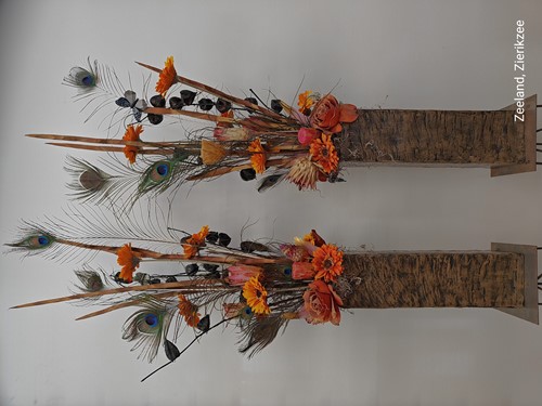 Pauw veren Lang / stuk Peacock feather natural