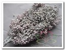 Pepper berrie Frosted white / bundel Peperbessen