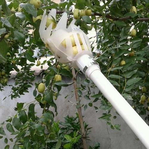 Fruitplukker wit Groot zonder steel