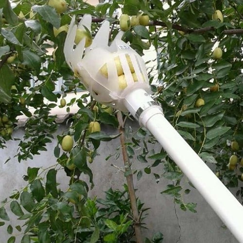 Fruitplukker wit Kleiner zonder steel