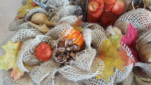 Physalis rood 5 st / lampionnetjes 