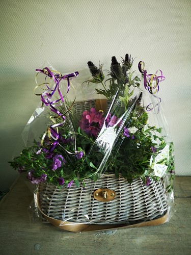 Picknickmand, plukmand,reiskoffer Grote Mand van rotan Whitewash met hengsel en sluiting