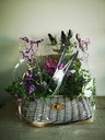 Picknickmand, plukmand,reiskoffer Grote Mand van rotan Whitewash met hengsel en sluiting