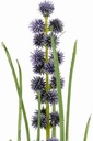 Grasbundel BLAUW bloeiend 50 cm /bundel zijde bloemen