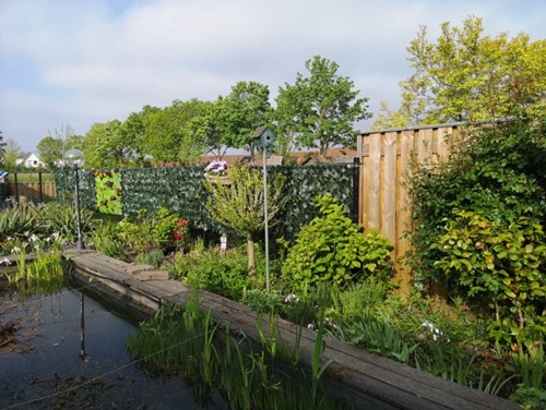 groenWall op rol 50*300cm Groenwand of afscheiding Flowerwall