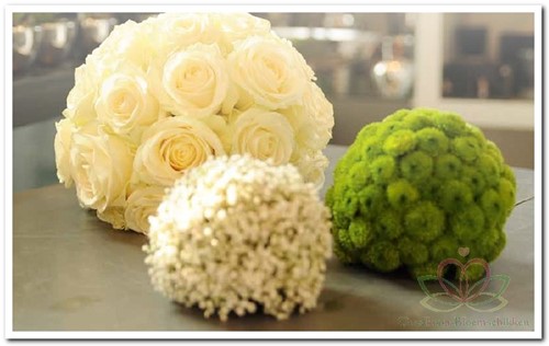 Halve bol steekschuim 20 cm oase voor verse bloemen 