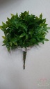 Hedera Pick corsagevuller bundel 6 stuks klimop
