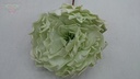 Pioenroos LichtGroen de luxe 12cm / PAK4st foam 