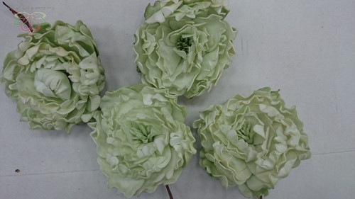 Pioenroos LichtGroen de luxe 12cm / PAK4st foam 