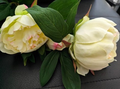 Pioenroos Pioen CremeROZE/st zijdebloem