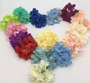 Hortensia Los 15*10 cm Oranjebruin Autumn 14 flowerwall vuller