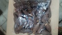 Jequitiba ca. 8cm natural 50 pcs 