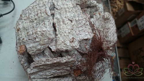 Kurkstukken Cork in netje Misty White 