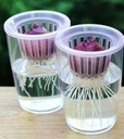 Kweekmandjes dmv Hydrocultuur ca. 10st 5x5cm stekken en zaaien op water #40