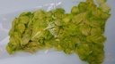 LUNARIA LIME groen Judaspenning Heel mooi Judaspenning