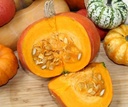 Madiba F1 Kabocha Buttercup vergelijkbaar aan Sunshine
