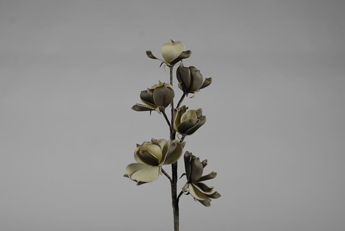 Magnolia kort foam Cool Grey/Creme 
